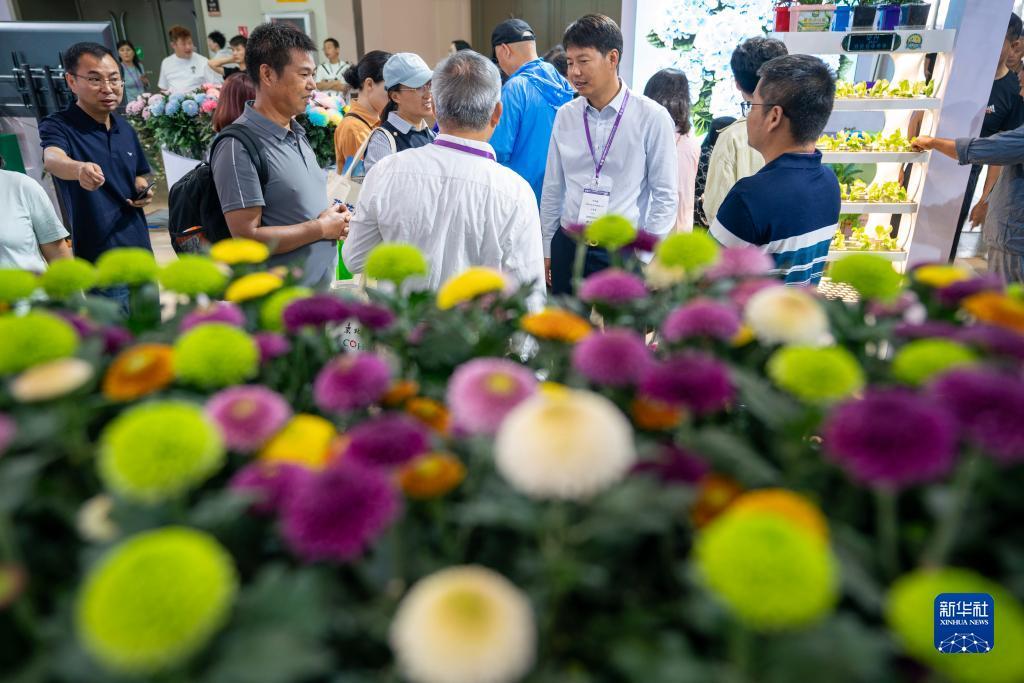 糖果派对注册送380红包